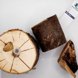 Geocachables Real Wood Hide